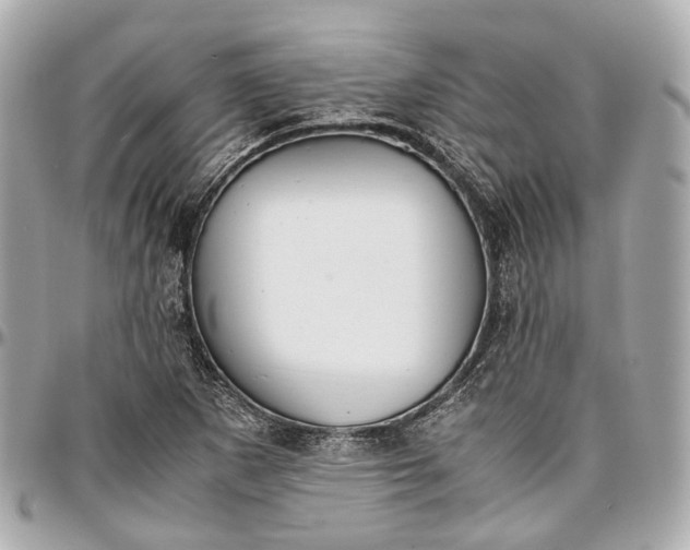 X0000097001265200802221513