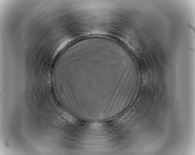 X0000097001266200802221513