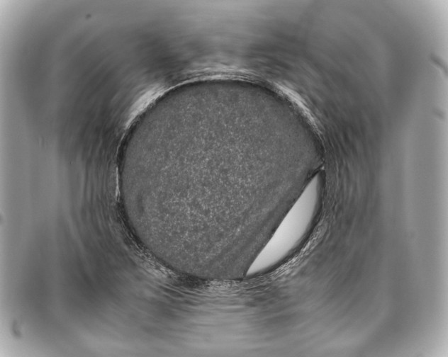 X0000097001267200802221513