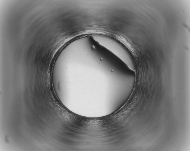 X0000097001268200802221513