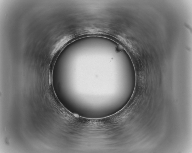 X0000097001269200802221513