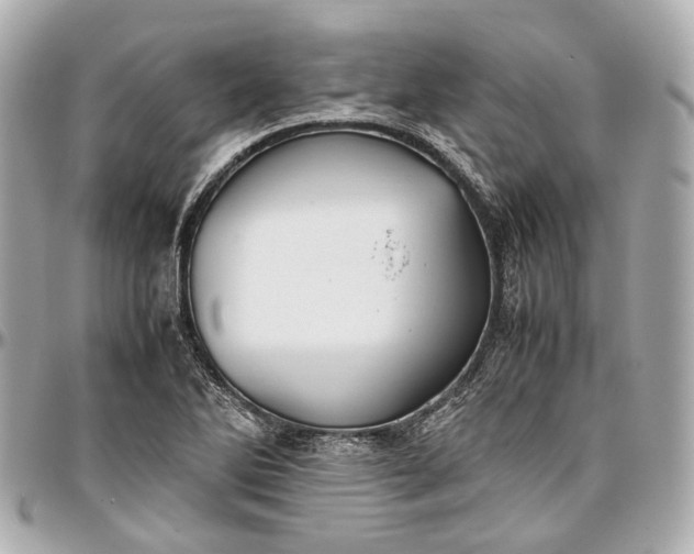 X0000097001270200802221513