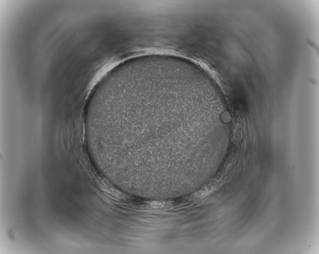 X0000097001271200802221513