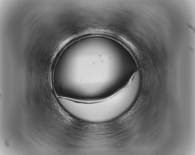 X0000097001272200802221513