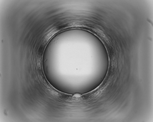 X0000097001273200802221513