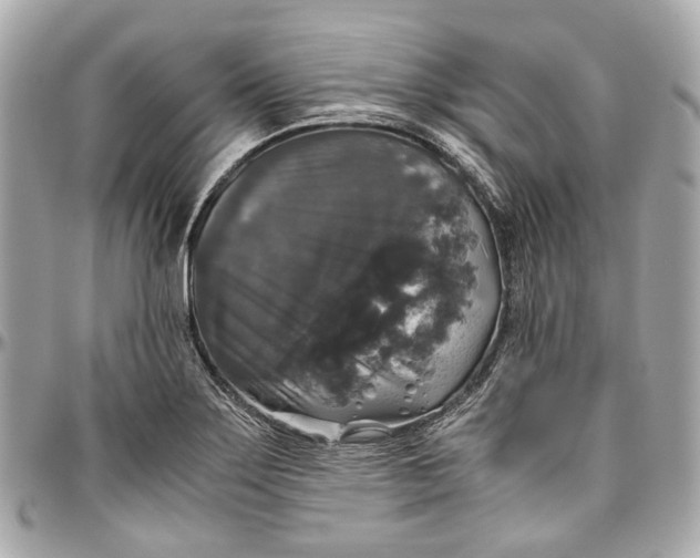 X0000097001275200802221513