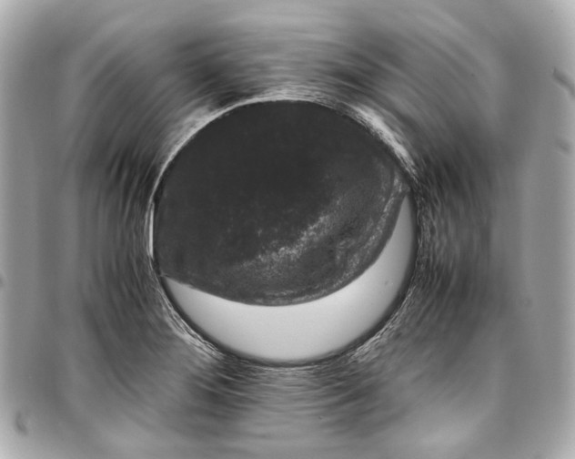 X0000097001276200802221513