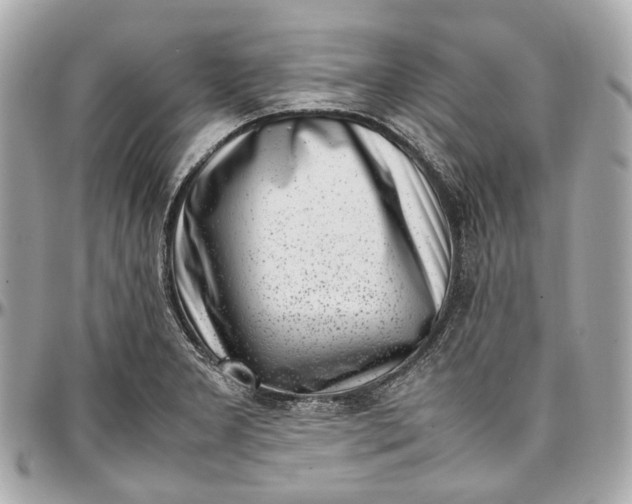 X0000097001277200802221513