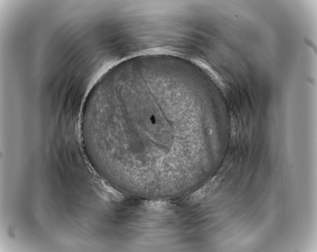 X0000097001278200802221513