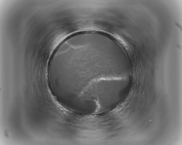 X0000097001279200802221513