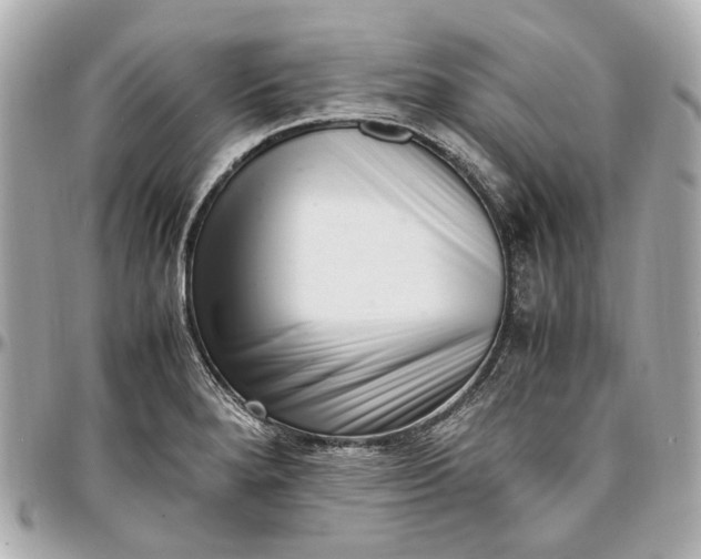 X0000097001280200802221513