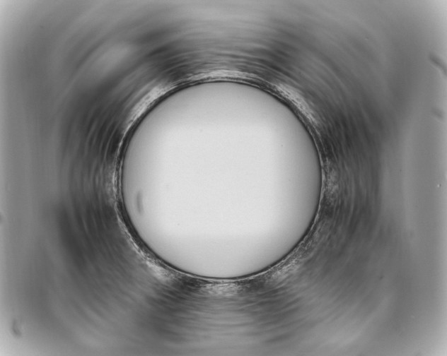 X0000097001282200802221513