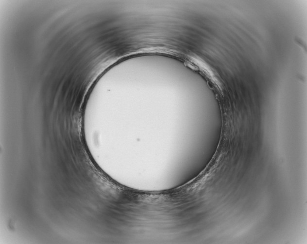 X0000097001284200802221513