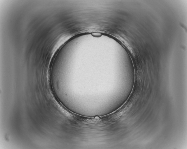 X0000097001285200802221513