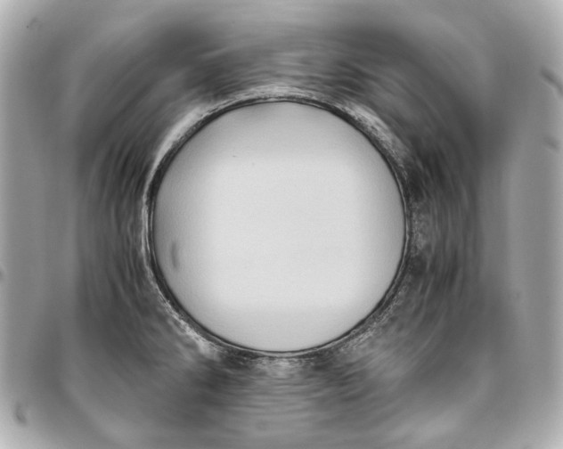 X0000097001286200802221513