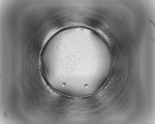 X0000097001287200802221513