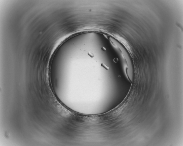 X0000097001288200802221513