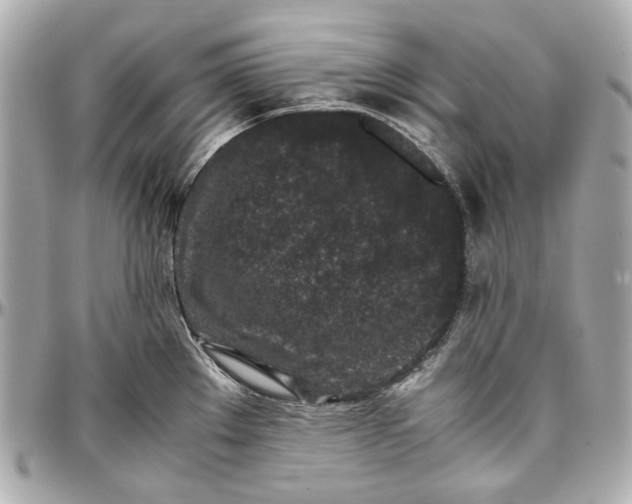 X0000097001289200802221513