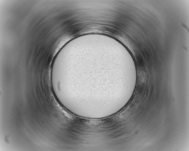 X0000097001290200802221513