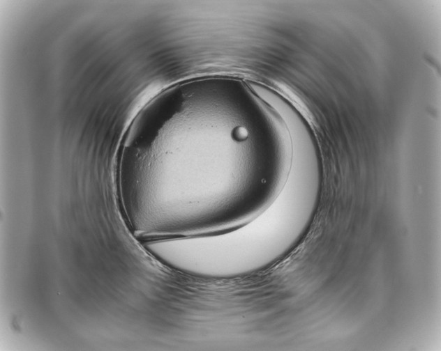 X0000097001291200802221513