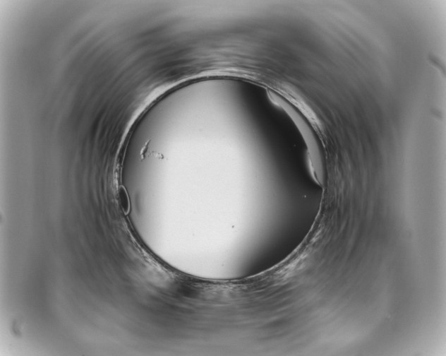 X0000097001292200802221513