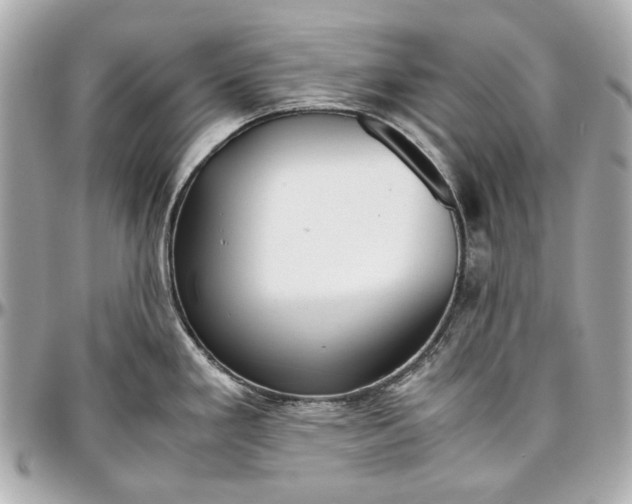 X0000097001293200802221513