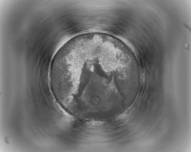 X0000097001294200802221513