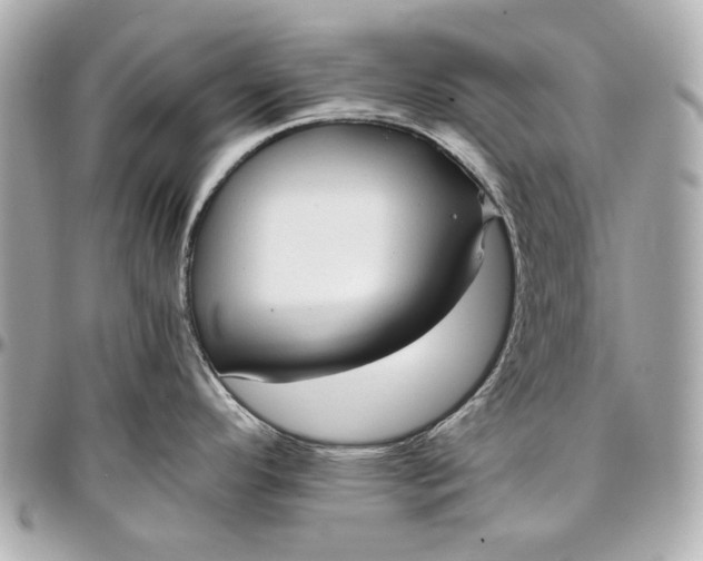 X0000097001296200802221512