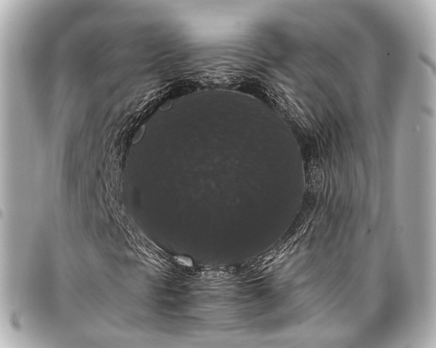 X0000097001297200802221512