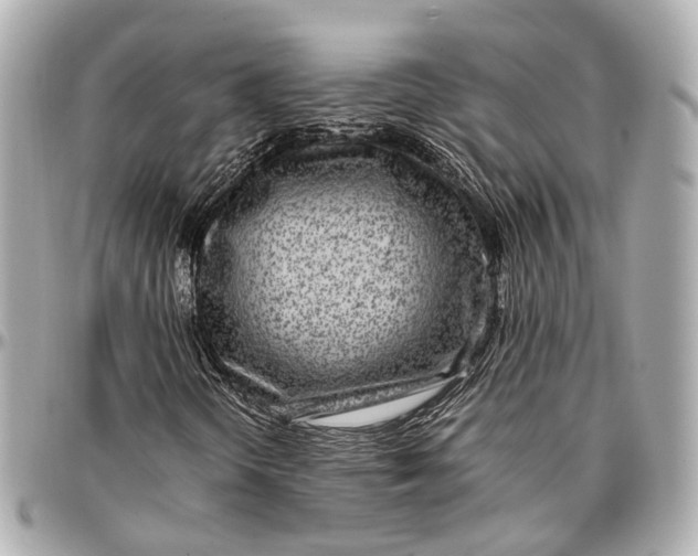 X0000097001298200802221512