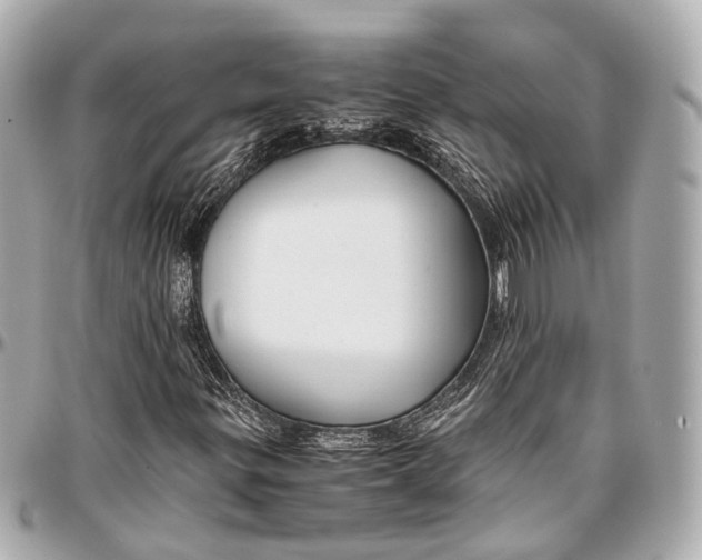 X0000097001299200802221512