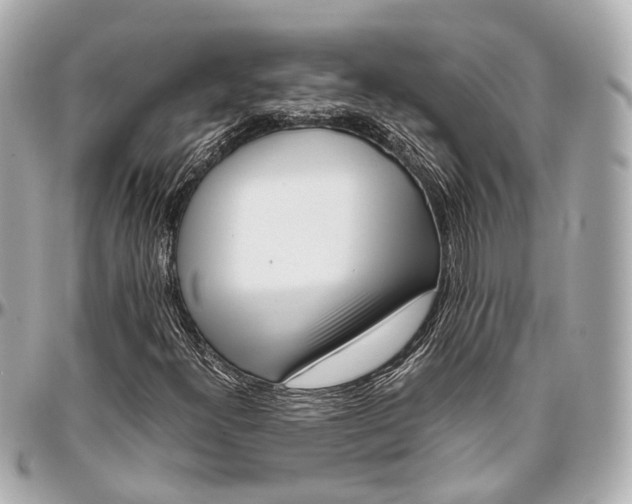 X0000097001300200802221512