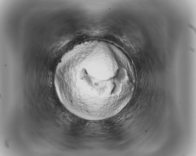 X0000097001301200802221512