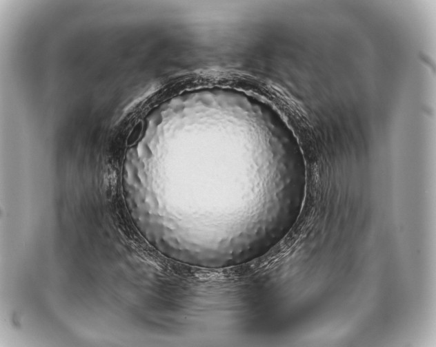 X0000097001302200802221512