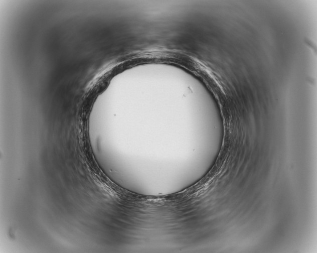 X0000097001304200802221512