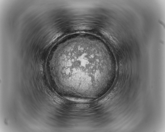 X0000097001305200802221512