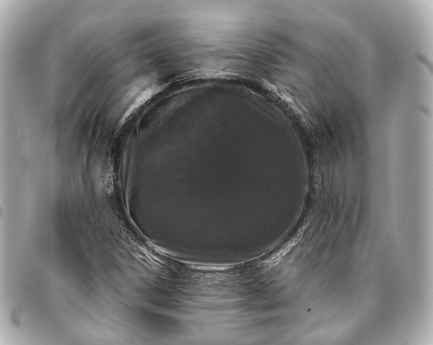 X0000097001306200802221512