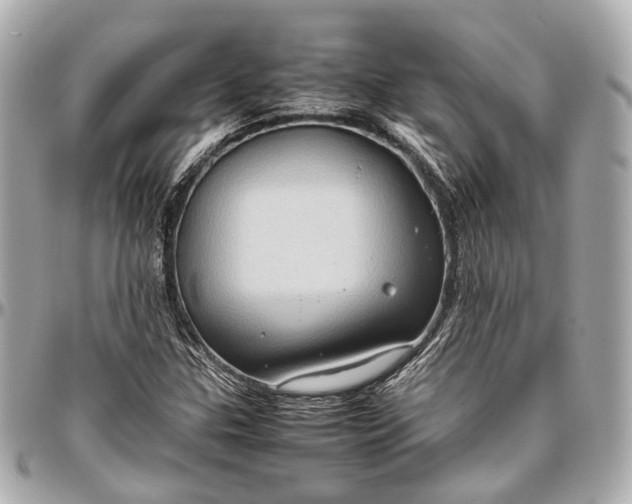 X0000097001307200802221512