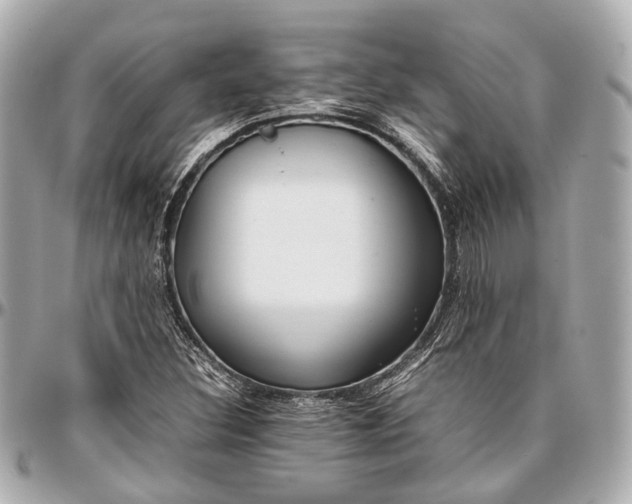 X0000097001308200802221512