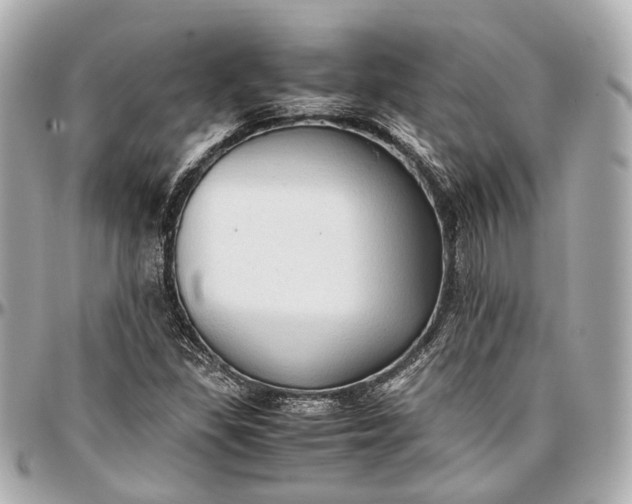 X0000097001309200802221512