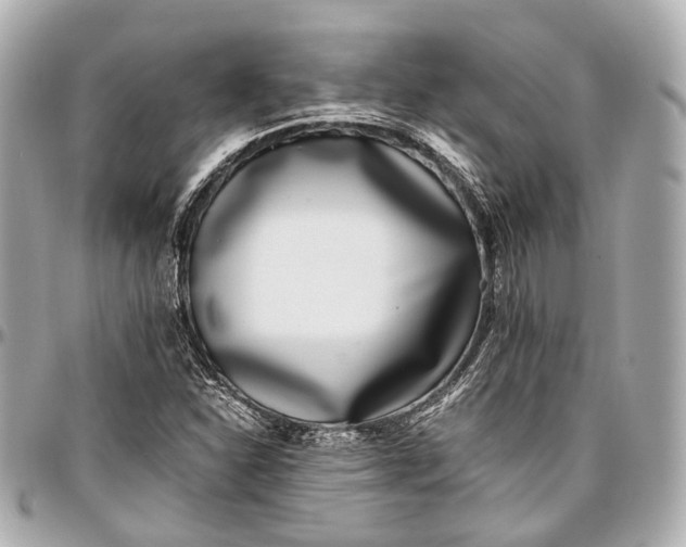 X0000097001310200802221512