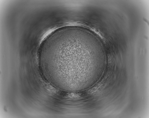 X0000097001311200802221512