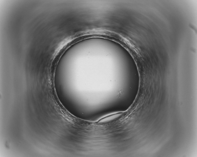 X0000097001312200802221512