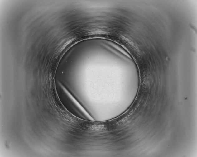 X0000097001313200802221512