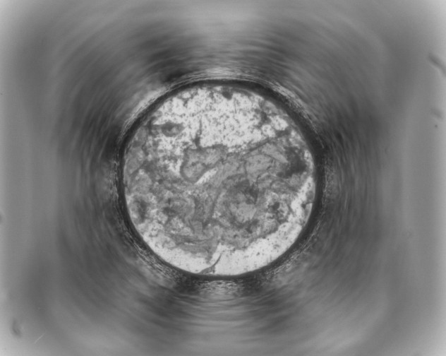 X0000097001314200802221512