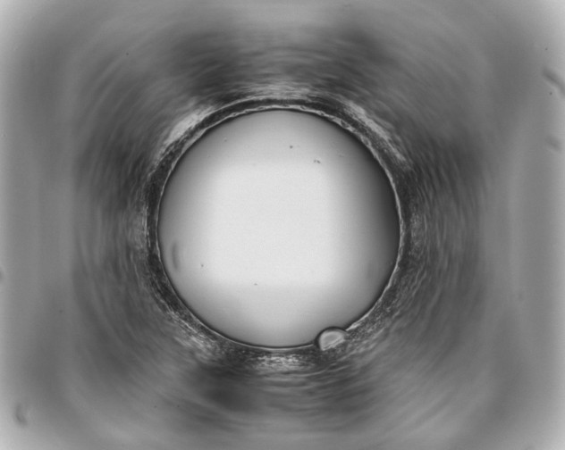 X0000097001315200802221512