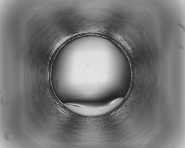 X0000097001316200802221512