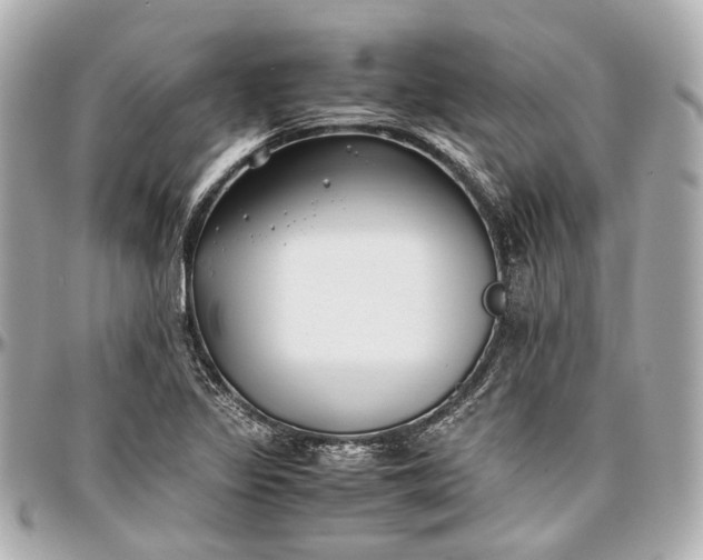 X0000097001317200802221512