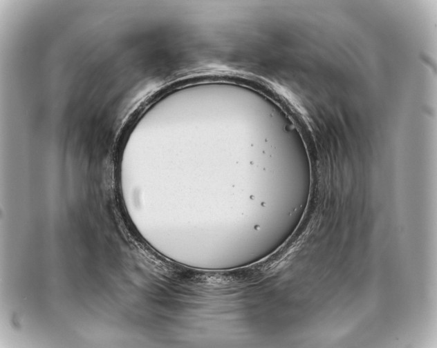 X0000097001318200802221512