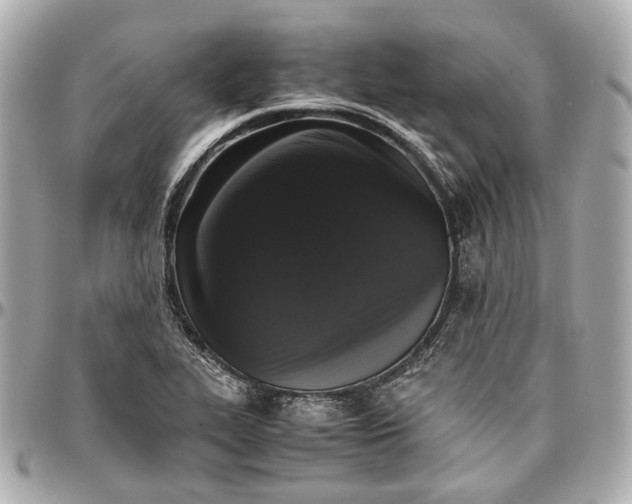 X0000097001319200802221512